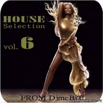 VA-House Selection from DjmcBiT vol.6