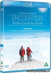 Встречи на краю света / Encounters at the End of the World (2007/BDRip)