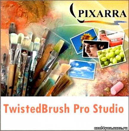 TwistedBrush Pro Studio 17.24 (2011) Eng