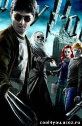 Гарри Поттер и Особая уличная магия (2011/DVDRip)