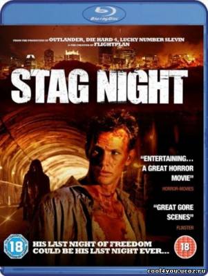 Поезд дальше не идет / Stag Night (2008) HDRip