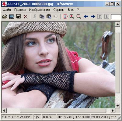 IrfanView v. 4.28