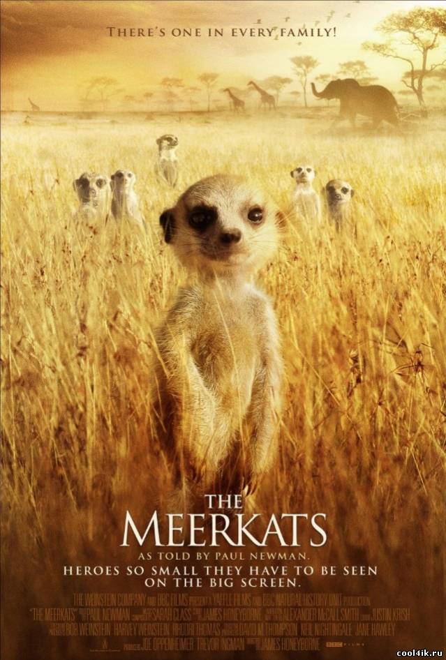 Сурикаты / The Meerkats (2008) DVDRip
